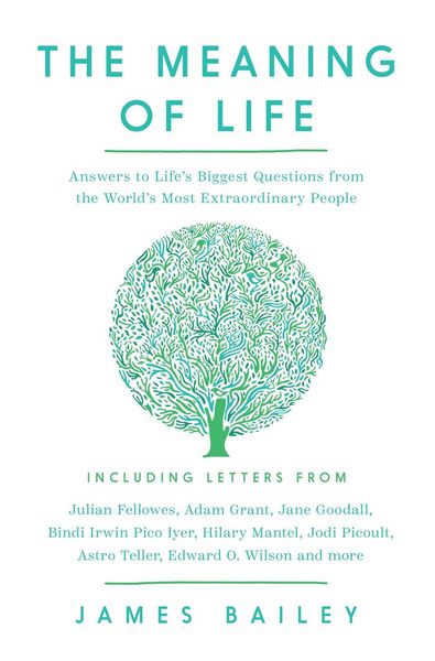 Produktbild: The Meaning of Life
