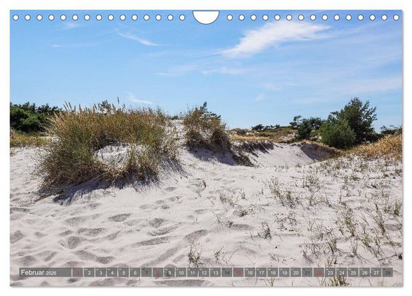 Produktbild: Fischland Dar&szlig; Zingst - wie gemalt (Wandkalender 2026 DIN A4 quer), CALVENDO Monatskalender