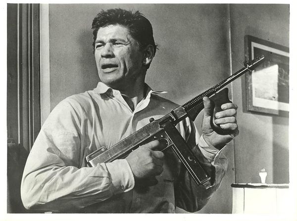 Produktbild: Das Raubtier - Charles Bronson - Filmperlen - Das Raubtier - Charles Bronson