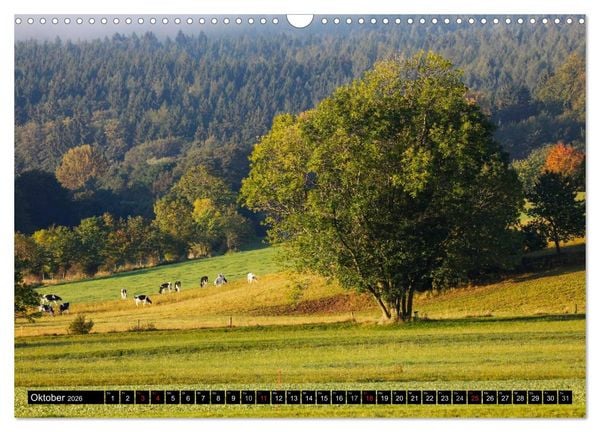 Produktbild: Sch&ouml;ne Landschaften der Oberlausitz (Wandkalender 2026 DIN A3 quer), CALVENDO Monatskalender