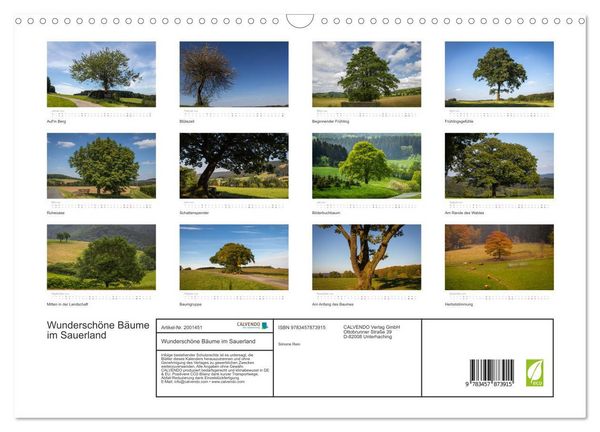 Produktbild: Wundersch&ouml;ne B&auml;ume im Sauerland (Wandkalender 2026 DIN A3 quer), CALVENDO Monatskalender