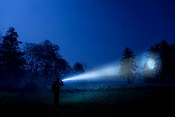 Produktbild: Ansmann M900P 1600-0162 LED Taschenlampe mit Handschlaufe batteriebetrieben 930lm 187g
