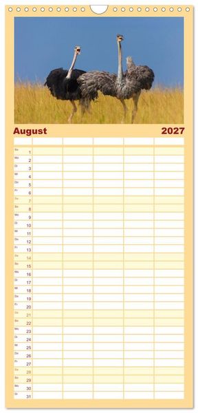 Produktbild: Familienplaner 2027 - Afrika Wildlife-Fotografien mit 5 Spalten (Wandkalender, 21 x 45 cm) CALVENDO