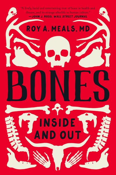 Produktbild: Bones