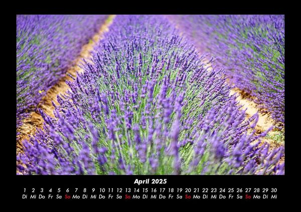 Produktbild: Blumentr&auml;ume 2025 Fotokalender DIN A3