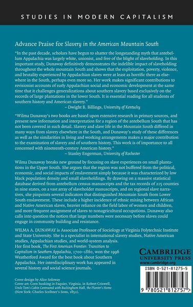 Produktbild: Slavery in the American Mountain South