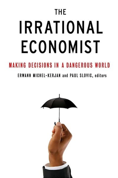 Produktbild: The Irrational Economist