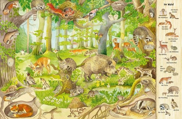 Mein erstes Wimmelbuch: Tierkinder