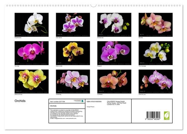 Produktbild: Orchids (High Quality Premium Wall Calendar 2026 DIN A2 landscape),CALVENDO 12 Month Wall Calendar