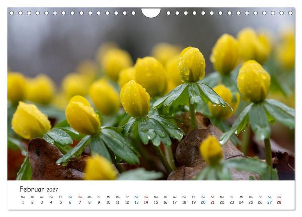 Produktbild: Typisch Magdeburg (Wandkalender 2027 DIN A4 quer), CALVENDO Monatskalender