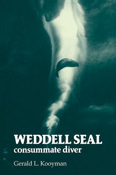 Produktbild: Weddell Seal