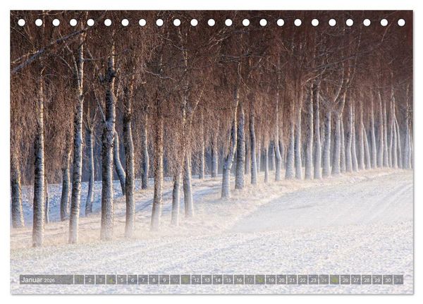 Produktbild: B&auml;ume (Tischkalender 2026 DIN A5 quer), CALVENDO Monatskalender