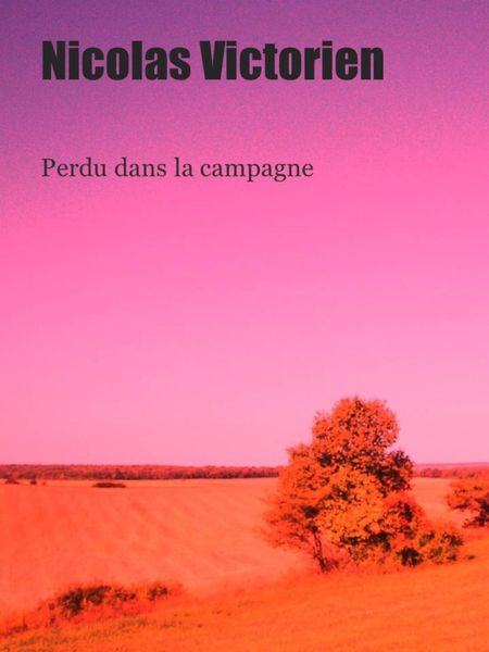 Produktbild: Perdu dans la campagne