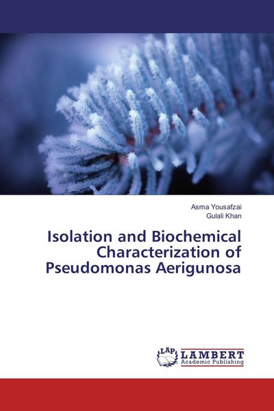 Produktbild: Isolation and Biochemical Characterization of Pseudomonas Aerigunosa