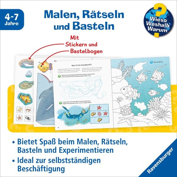 Wieso? Weshalb? Warum? aktiv-Heft - Das Meer
