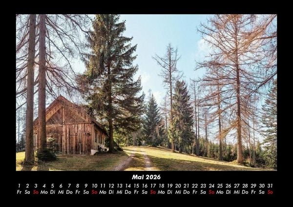 Produktbild: Waldzauber 2026 Fotokalender DIN A3