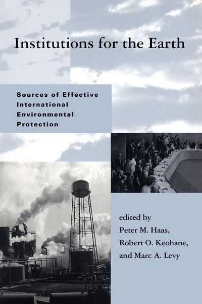 Produktbild: Institutions for the Earth
