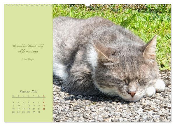 Produktbild: H&auml;ng einfach mal ab (hochwertiger Premium Wandkalender 2026 DIN A2 quer), Kunstdruck in Hochglanz