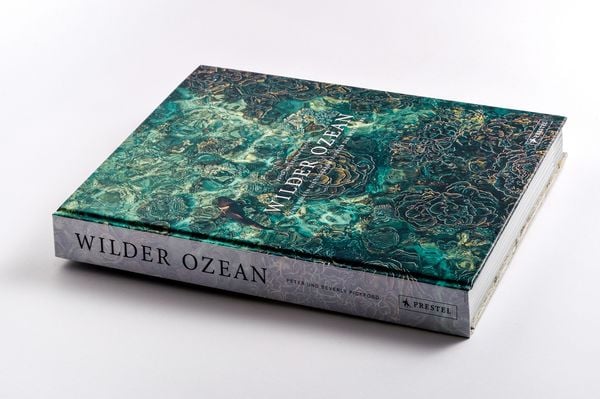 Produktbild: Wilder Ozean