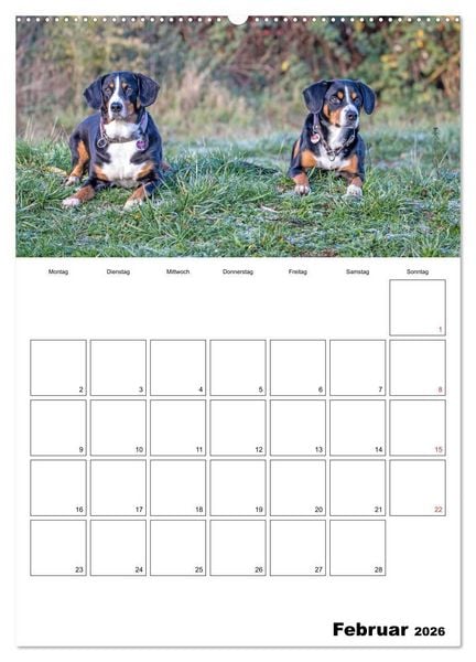 Produktbild: Entlebucher Sennenhunde begleiten Sie durch das Jahr (hochwertiger Premium Wandkalender 2026 DIN A2 hoch), Kunstdruck in Hochglanz