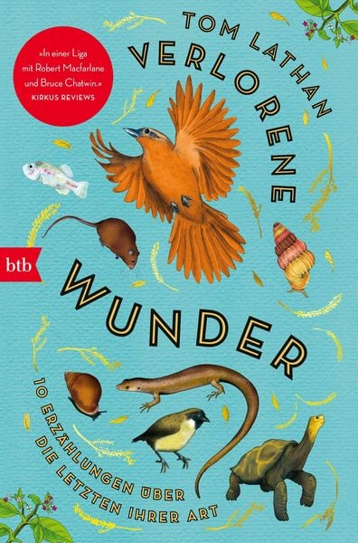 Produktbild: Verlorene Wunder