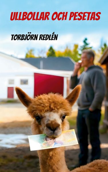 Produktbild: Ullbollar och Pesetas