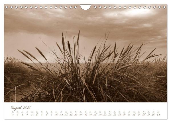 Produktbild: Ostsee-Nostalgie (Wandkalender 2026 DIN A4 quer), CALVENDO Monatskalender