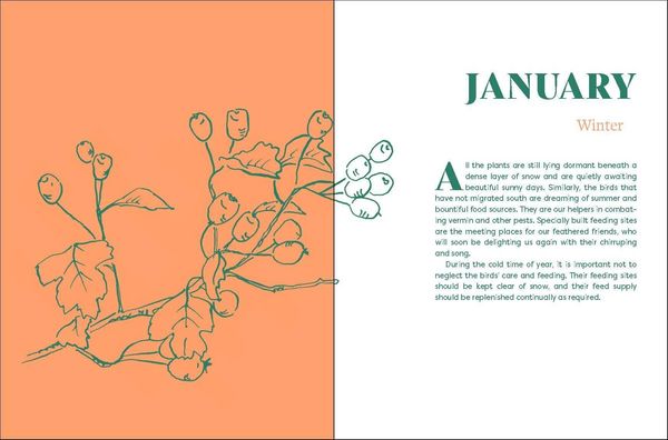 Produktbild: The Month-by-Month Gardening Guide
