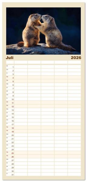 Produktbild: Familienplaner 2026 - Alpenpl&uuml;sch - Mit Murmeltieren durchs Jahr mit 5 Spalten (Wandkalender, 21 x 45 cm) CALVENDO