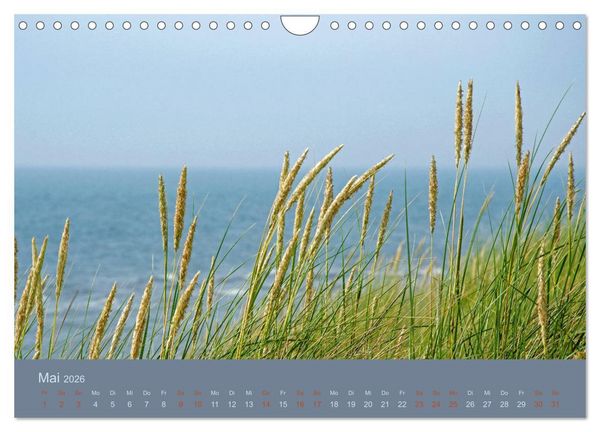 Produktbild: Tag am Meer (Wandkalender 2026 DIN A4 quer), CALVENDO Monatskalender