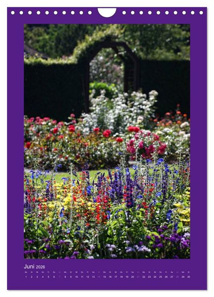 Produktbild: Farbtupferl - Botanischer Garten Augsburg (Wandkalender 2026 DIN A4 hoch), CALVENDO Monatskalender