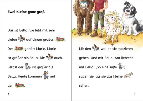 Produktbild: Bildermaus - Ein Pony zum Liebhaben