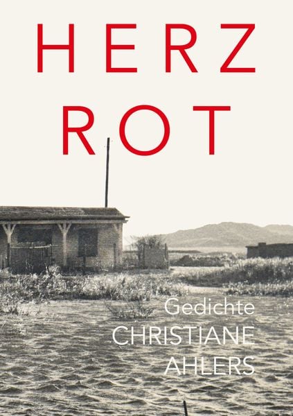 Produktbild: Herz Rot