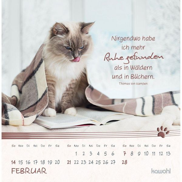 Produktbild: Kleine Katzen-Tatzen 2027