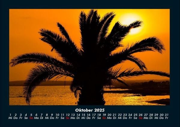 Produktbild: Palmentraum 2025 Fotokalender DIN A4