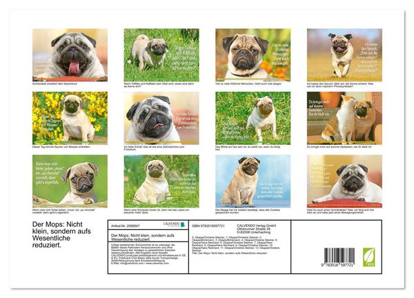 Produktbild: Der Mops: Nicht klein, sondern aufs Wesentliche reduziert. (hochwertiger Premium Wandkalender 2026 DIN A2 quer), Kunstdruck in Hochglanz
