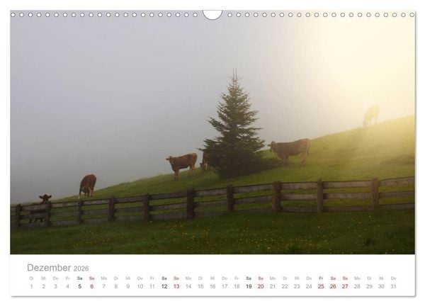 Produktbild: Tiere in Freiheit - Nutztiere auf der Alm (Wandkalender 2026 DIN A3 quer), CALVENDO Monatskalender