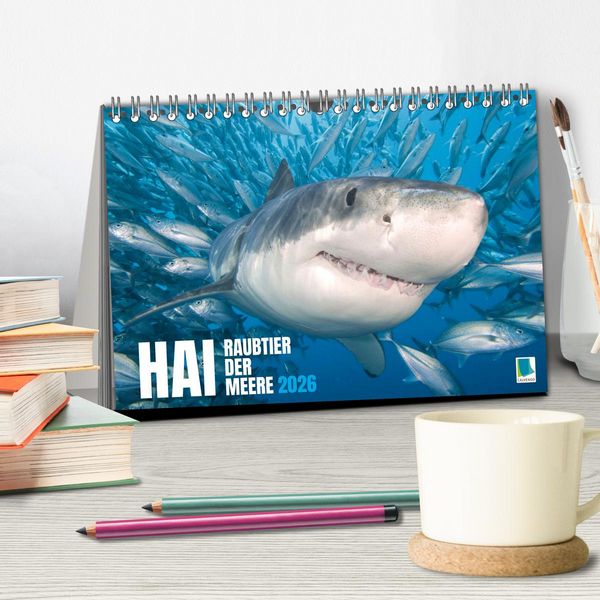 Produktbild: Hai: Raubtier der Meere (Tischkalender 2026 DIN A5 quer), CALVENDO Monatskalender
