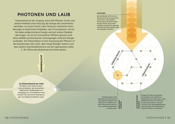Produktbild: SIMPLY. Quantenphysik