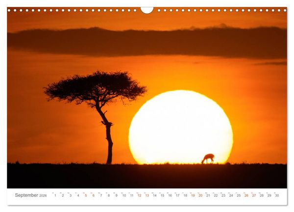 Produktbild: Safari Kenia (Wandkalender 2026 DIN A3 quer), CALVENDO Monatskalender