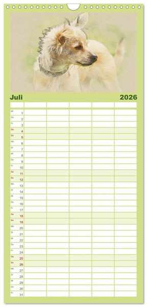 Produktbild: Familienplaner 2026 - Chihuahuas 2026 mit 5 Spalten (Wandkalender, 21 x 45 cm) CALVENDO