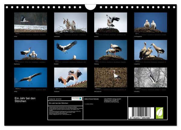 Produktbild: Ein Jahr bei den St&ouml;rchen (Wandkalender 2026 DIN A4 quer), CALVENDO Monatskalender