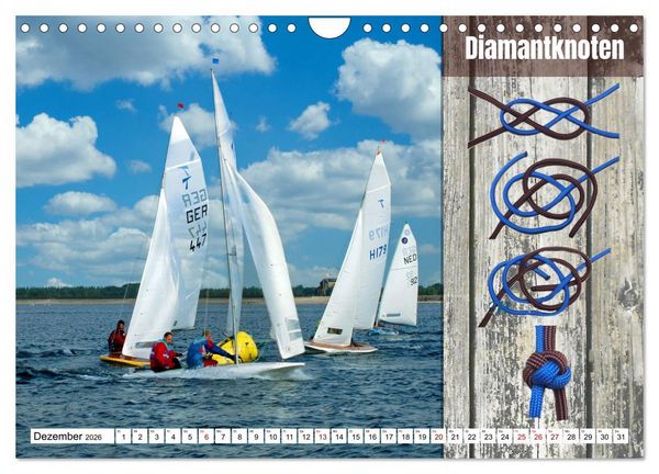 Produktbild: Schnittige Jollen - wichtige Knoten (Wandkalender 2026 DIN A4 quer), CALVENDO Monatskalender