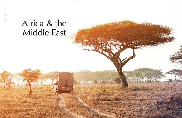 Produktbild: Lonely Planet The Joy of Birdwatching