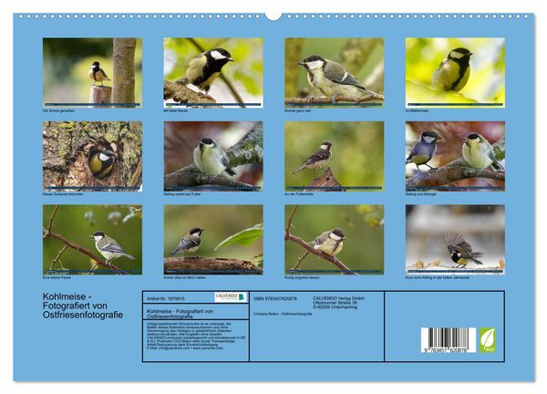 Produktbild: Kohlmeise - Fotografiert von Ostfriesenfotografie (Wandkalender 2026 DIN A2 quer), CALVENDO Monatskalender