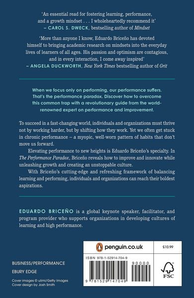 Produktbild: The Performance Paradox