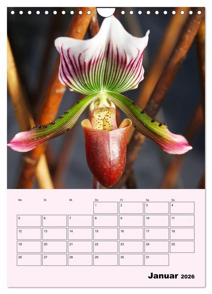 Produktbild: Orchideenliebe (Wandkalender 2026 DIN A4 hoch), CALVENDO Monatskalender