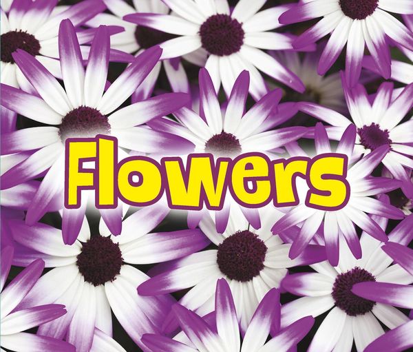 Produktbild: All About Flowers