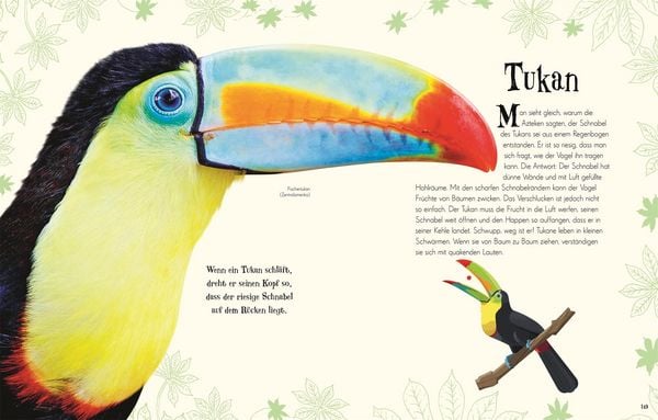 Wundervolle Welt der Tiere