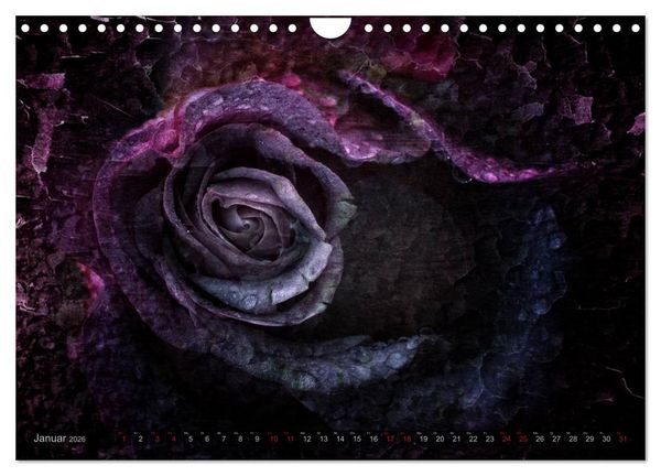 Produktbild: Gothic Rose - Rosen aus dem Garten der Finsternis (Wandkalender 2026 DIN A4 quer), CALVENDO Monatskalender